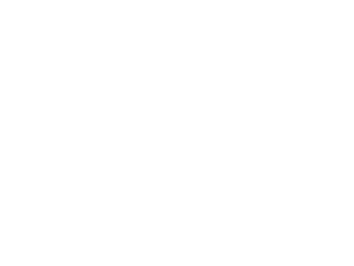 NAL logo