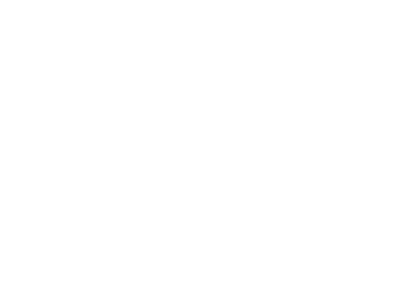 SAL logo