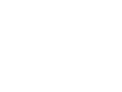 YDL athletics icon